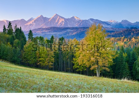 Beautiful dawn over The High Tatra Mountains, Carpathians. Morning landscape with tree on meadow and forest..