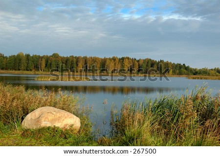 Ashore lake. The Moscow area.