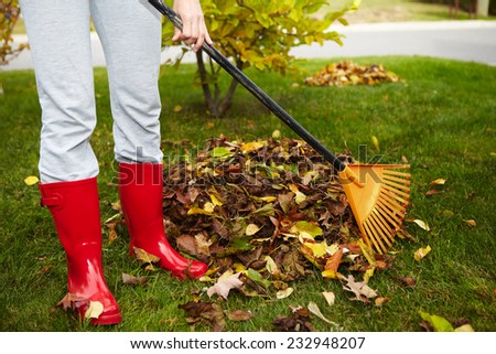 Woman in red boots raking Fall leaves in backyard