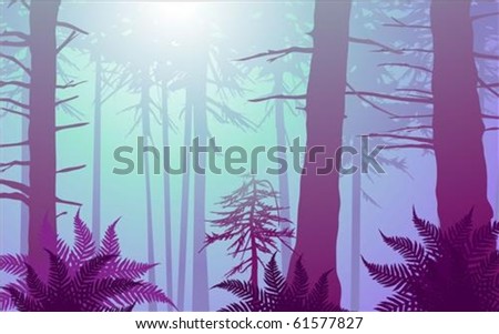 Free Enchanted Forest Coloring Vectors