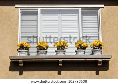 Five flower pots outside on a window ledge.