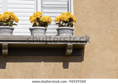 Three pots with flowers sit on a window ledge.