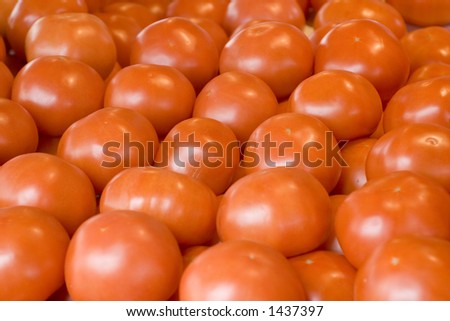 tomates Photo stock © 