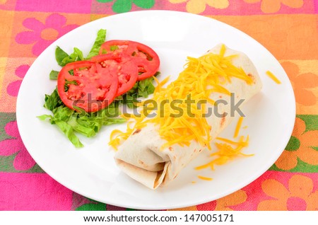 Soft Taco wrapped in flour tortilla and sprinkled with shredded cheese on white plate with tomatoes and lettuce on colorful Hispanic Accent background.