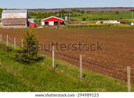 Farm land with Bay of Fund in distance, tractor in middle ground.  Annapolis Valley scenic drive in southern Nova Scotia, Canada.