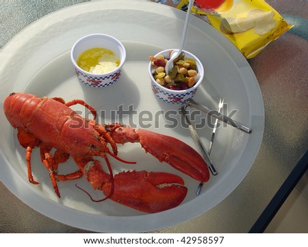 Lobster lunch served on a paper plate at a Maine fishing village wharf.