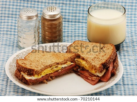 Fried egg and bologna sandwich with whole grain toast; served with small glass milk on blue gingham place mat and salt and pepper shakers.