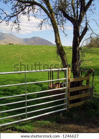 farm gate with tree and mountains in background