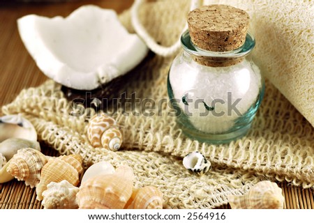 Still life of a glass jar of bath salts, loofah pad, broken coconut, seashells and natural fiber wash cloth