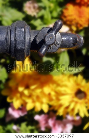 Antique iron water spigot above a bed of flowers