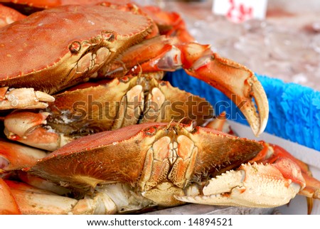 Fresh crab for sale at an outdoor fish market