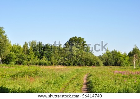 Summer landscape of the Central Russia, Moscow area