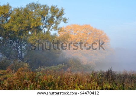 Autumn morning, Moscow suburbs, Russia