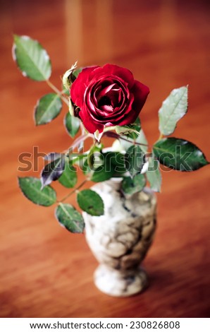 wilted rose in a vase