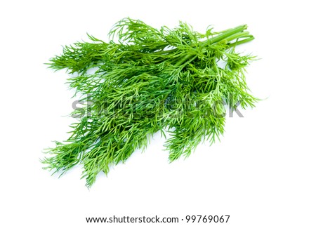 dill isolated on a white background