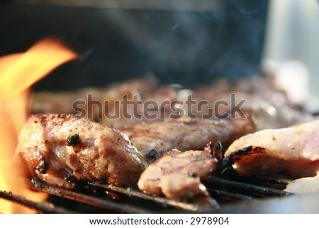 Chicken cooking on fire (closeup)