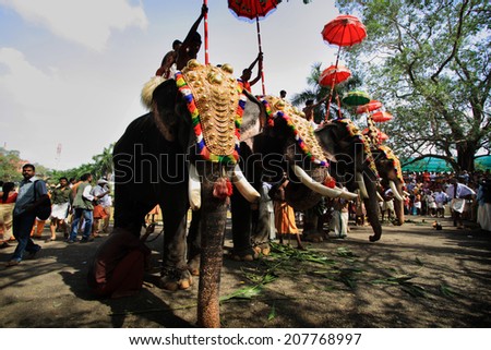 THRISSUR, INDIA - MAY 12 : Decorated elephants stand in line for procession at Thrissur Pooram on May 12, 2011 in Thrissur, India. Thrissur Pooram is the most popular elephant festival in India.