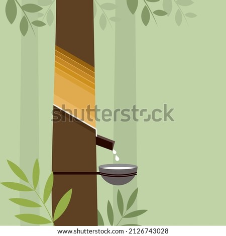 Illustration of a rubber tree with its latex is tapped in a cup