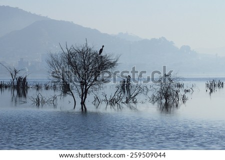 Ana Sagar lake in Ajmer with silhouettes of trees and birds. A foggy morning scene.