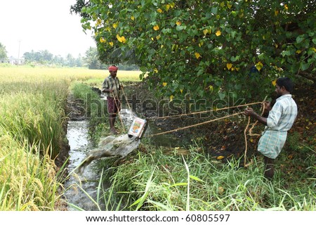 ALLEPPEY, INDIA - OCTOBER 20 : Indian farmers lifting the irrigation water using traditional method to the paddy fields October 20, 2009 in Alleppey, Kerala, India.