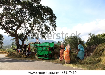 SENGOTTAI, INDIA - SEP 25 : Agricultural workers engaged in the post harvesting jobs along the road side September 25, 2010 in Sengottai, Tamilnadu, India.