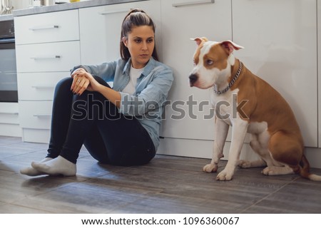 Similar – Image, Stock Photo Beautiful female amstaff, fighting dog