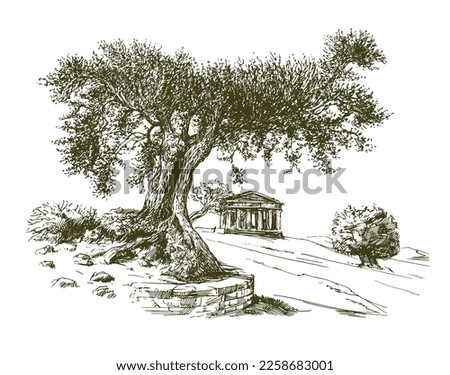 The Temple Of Concordia In The Valley Of The Temples At Agrigento Sicily. Olive Tree. 
