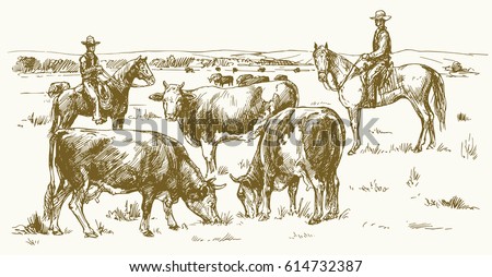 Cattle drive by two cowboys. Cows grazing on pasture. Vector illustration.