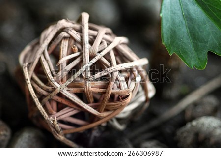 Ball made of wooden rods on a background of green leaf