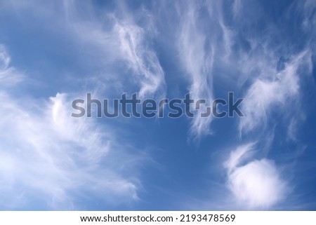 Beautiful sky landscape with white calm fluffy clouds high in the stratosphere on a sunny serenite day Foto d'archivio © 