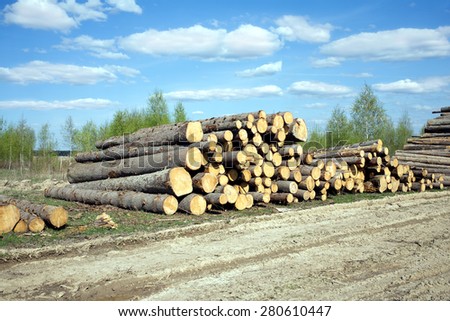 Rustic landscape with stacked sawed pine logs in a pile over forest and beautiful sky width clouds in summer day