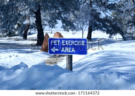 Pet Exercise Area Under Snow. Rest Area Per Exercise. Winter Season.