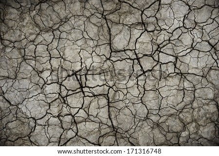 Dry Cracked Soil Photo Background.  Dry Ground Cracked by Extreme Heat.