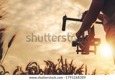 Videography and Cinema Industry Theme. Scenic Sunset Cinema Shot Using Digital SLR Camera and Gimbal Stabilizator. Operator Walking with Professional Equipment Between Rye Field. Stock foto © 