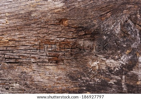 Old Wood Board Closeup Background. Aged Wood Texture
