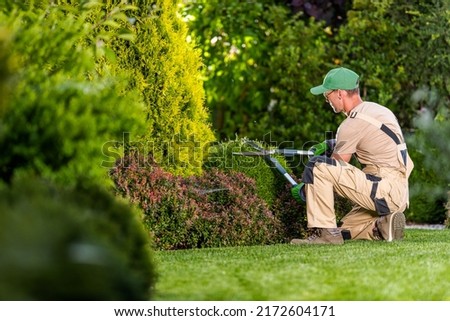 Garden Pruning Works to Maintain the Appearance of Shrubs, Bushes, Trees and Other Plants. Professional Landscaper Cutting the Overgrown Sprigs and Leaves with Garden Scissors. Stockfoto © 