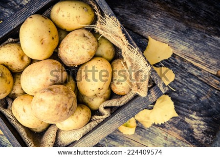 Raw Organic Golden Potatoes in the Wooden Crate on Aged Wood Planks Table.