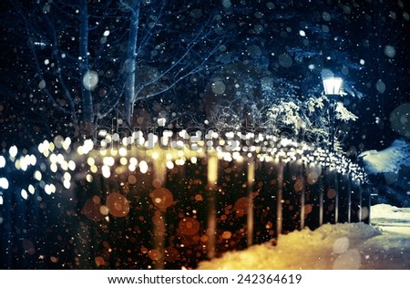 Holiday Lights Scenery. Winter Night in the Park with Seasonal Lighting Decoration and the Lantern
