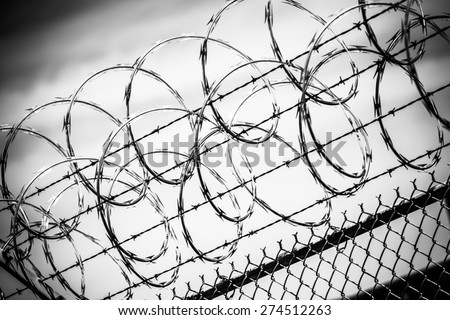 Barbed Wire Fence. Prison Fence in Black and White Closeup.