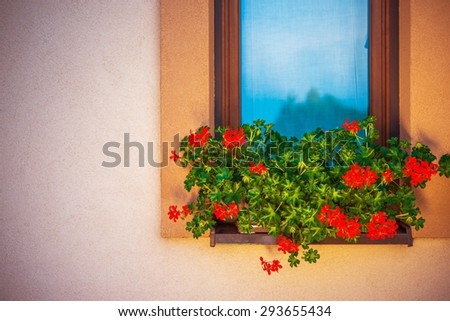 Blooming Window Flowers in the Flowerbox. Outside Home Window Flowerbox