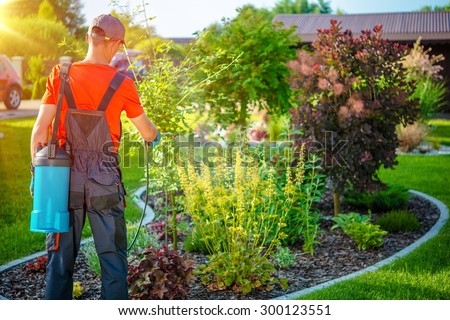 Gardener with Pests Spray. Spring Work in Garden.