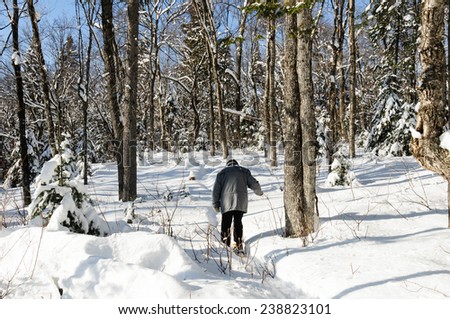 winter scene with senior walking with snowshoes in woods after snowstorm, Quebec, Canada