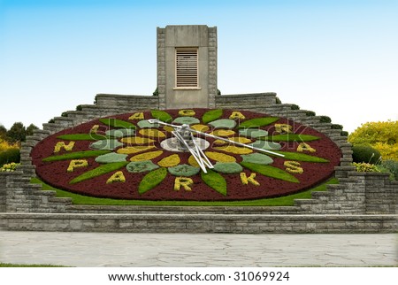 clock flower of Niagara Park, Niagara Falls, Ontario, Canada