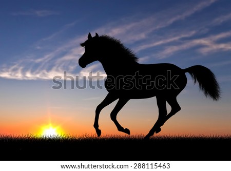 Running horse silhouette against beautiful sunset landscape