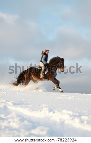 Young woman riding Latvian horse breed.