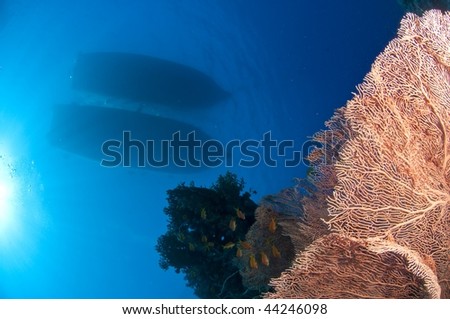Reef and diving boats on the surface, red Sea, south Sinai, Egypt