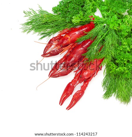 Boiled crayfish with dill isolated on a white background