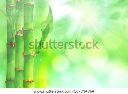 Natural zen backgrounds with bamboo leaves