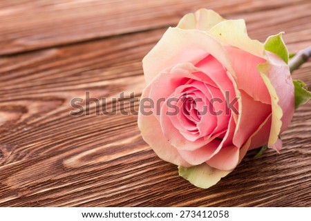 rose flower on wood background