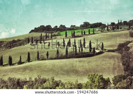 Idyllic rural Tuscan landscape near Pienza, Vall d'Orcia, Italy, Europe. Dirt road and cypress. Filtered image in vintage style